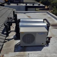 WhatsApp Image 2024-05-15 at 08.41.00_eaae157c